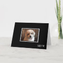 Suche nach pyrenäen karten Hund
