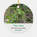 Suche nach beachvolleyball ornamente Foto