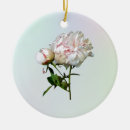 Suche nach rosa pfingstrose ornamente Blumig