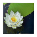 Suche nach water fliesen Lilie