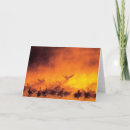 Suche nach aachen postkarten Wildtiere