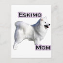 Suche nach amerikanische eskimo postkarten Eskie