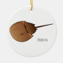 Suche nach blaue krabben ornamente Jede person