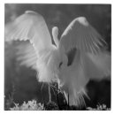 Suche nach alba untersetzer Weiß