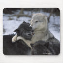 Suche nach wolf im schnee mousepads Winter