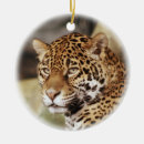 Suche nach jaguar ornamente Tier