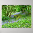 Suche nach blaue glocke poster Wald