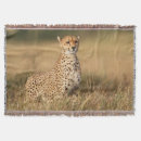 Suche nach gepard decken Tier