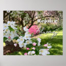 Suche nach rosa blüten auf baum poster Für alle