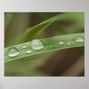 Suche nach tropisches klima poster Umwelt