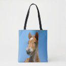Suche nach isländisch taschen Pony