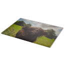 Suche nach sonnenlicht schneidebrettchen Hochlandkuh