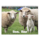 Suche nach schäfer kalender Lämmer
