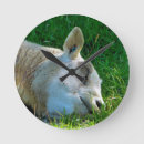 Suche nach schuh wanduhren Niedlich