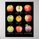 Suche nach apple poster Rückgang