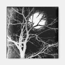 Suche nach mondlicht magnete Nacht