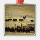 Suche nach bison ornamente Tier