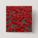 Suche nach rote tulpe buttons Nordamerika