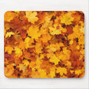 Suche nach indianer mousepads Landschaft