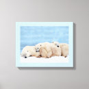 Suche nach polar leinwandbilder Natur