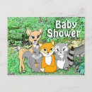 Suche nach baby waschbären postkarten Waldtiere