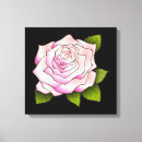 Suche nach schwarze rose leinwandbilder Rosa
