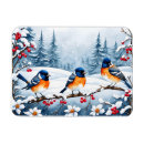 Suche nach singvögel magnete Schnee