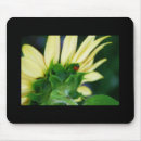 Suche nach marienkäfer mousepads Sommer