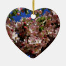 Suche nach frühlings blumen ornamente Blüten