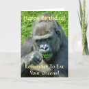 Suche nach lustige gorillas karten Jede person