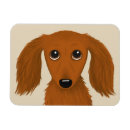 Suche nach rote dackel magnete Dackelhund