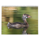 Suche nach medium kalender Jede person