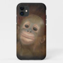 Suche nach orang utans Baby