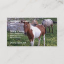 Suche nach ponys visitenkarten Reiter