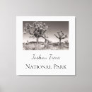 Suche nach nationalpark leinwandbilder Kakteen