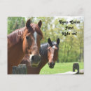 Suche nach anderes reiten postkarten Tiere