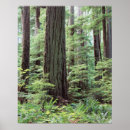 Suche nach vancouver island poster Canada