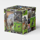 Suche nach känguru papier geschenk box Für alle