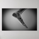 Suche nach menschliche füße poster Anatomie