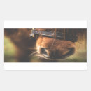 Suche nach pferdezucht aufkleber Reiter