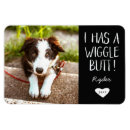 Suche nach hintern magnete Hund