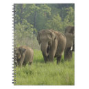 Suche nach indischer elefant kleine notizbücher Jagdeep rajput