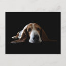 Suche nach basset postkarten Niedlich