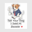 Suche nach terrier Jack russell terrier