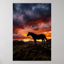 Suche nach pferdedrucke poster Jede person