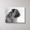 Suche nach profil leinwandbilder Mops