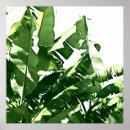 Suche nach einfarbiges poster Natur