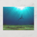 Suche nach schnorcheln postkarten Taucher