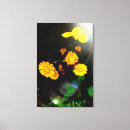Suche nach wilds poster leinwandbilder Naturfotografie