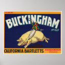Suche nach buckingham poster Schwein